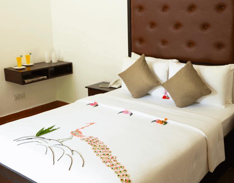 Arana By Forest Trails كيريندا المظهر الخارجي الصورة